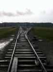 Birkenau Tracks